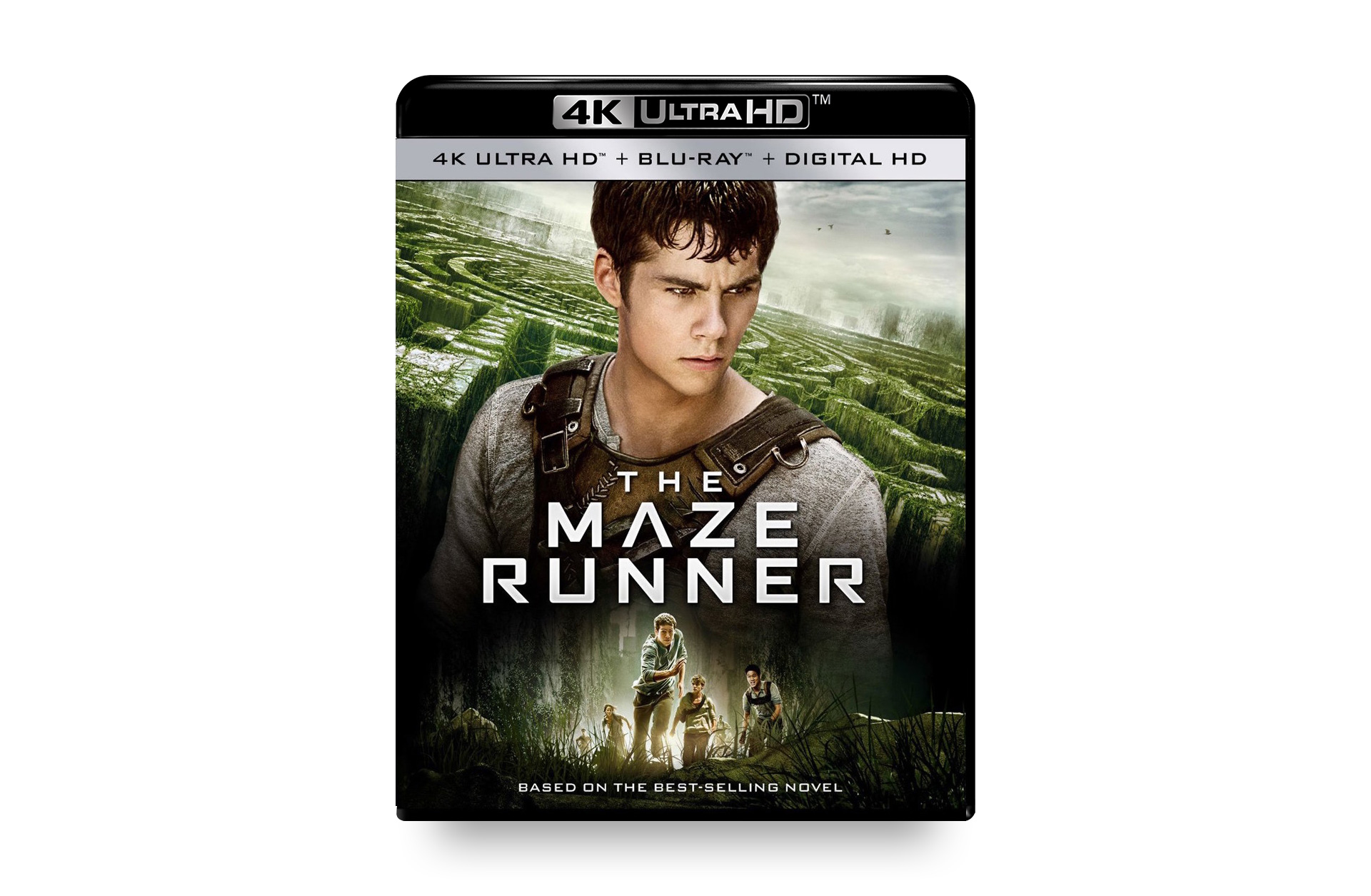 The MAZE RUNNER