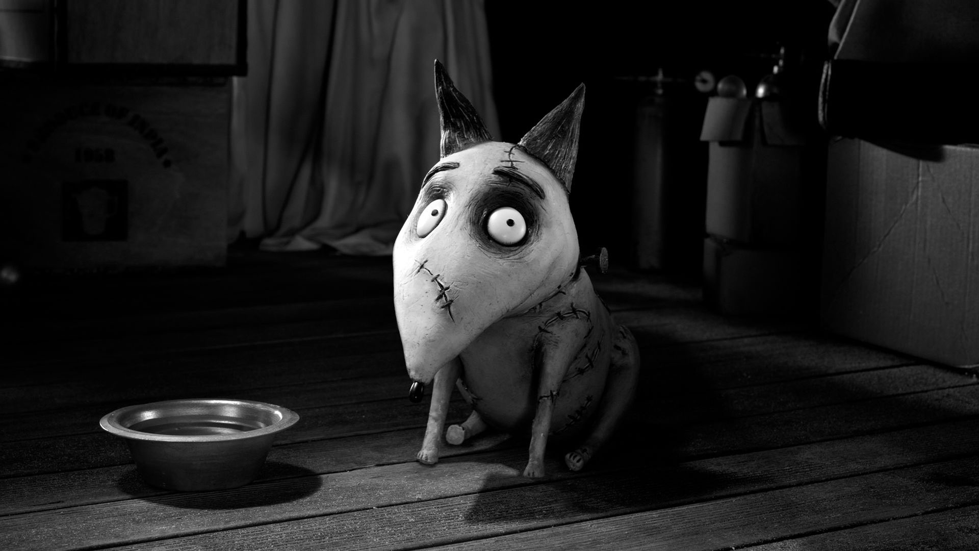 frankenweenie teddy