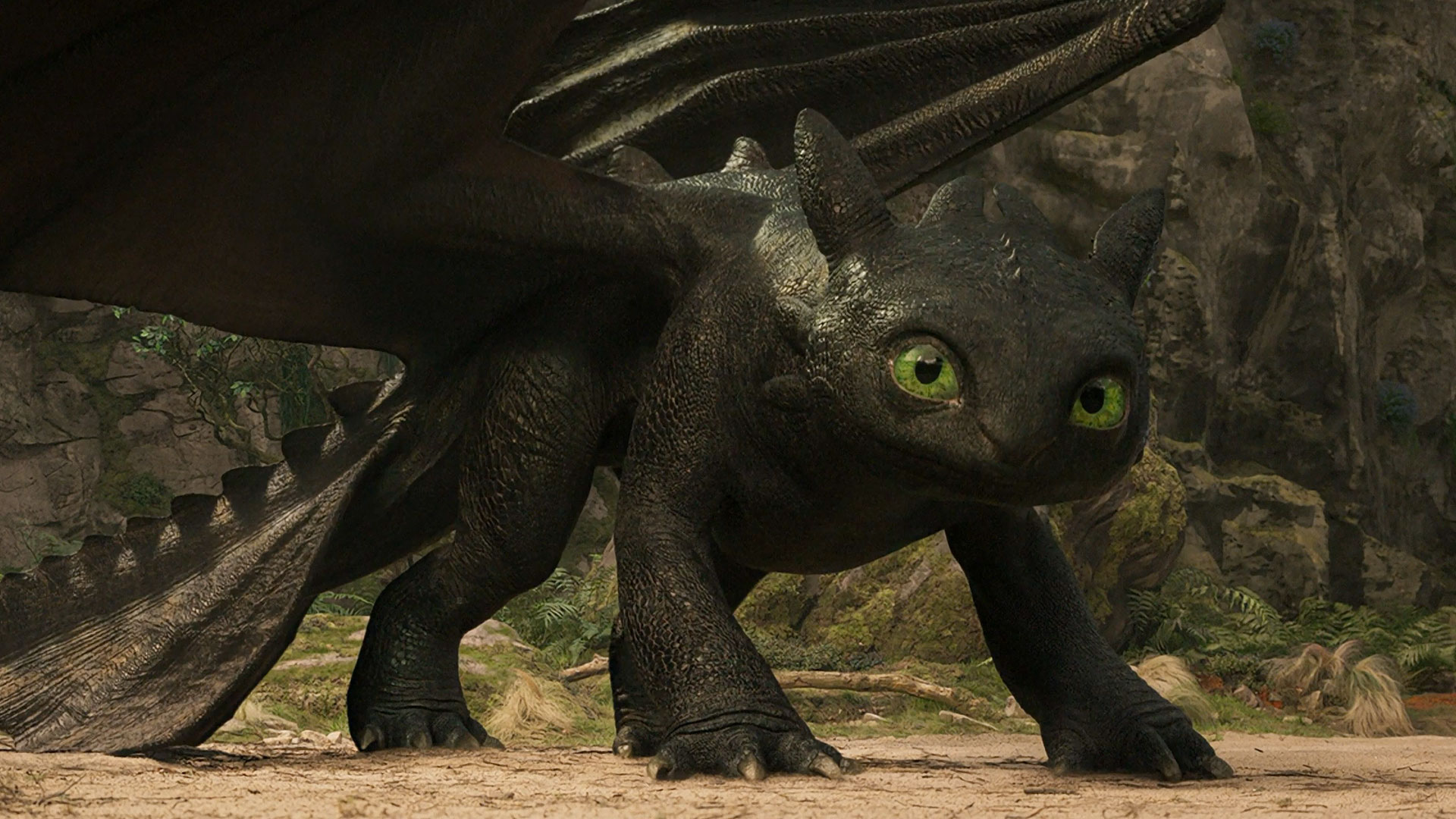 How To Train Your DRAGON