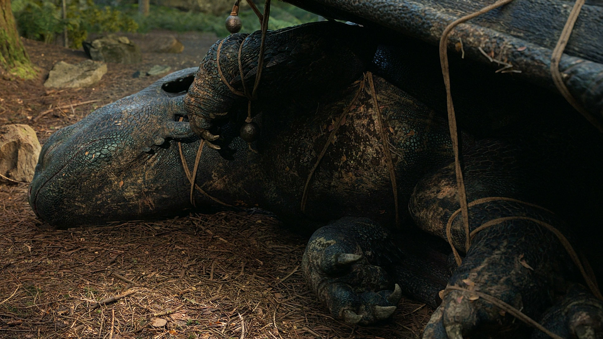 How To Train Your DRAGON