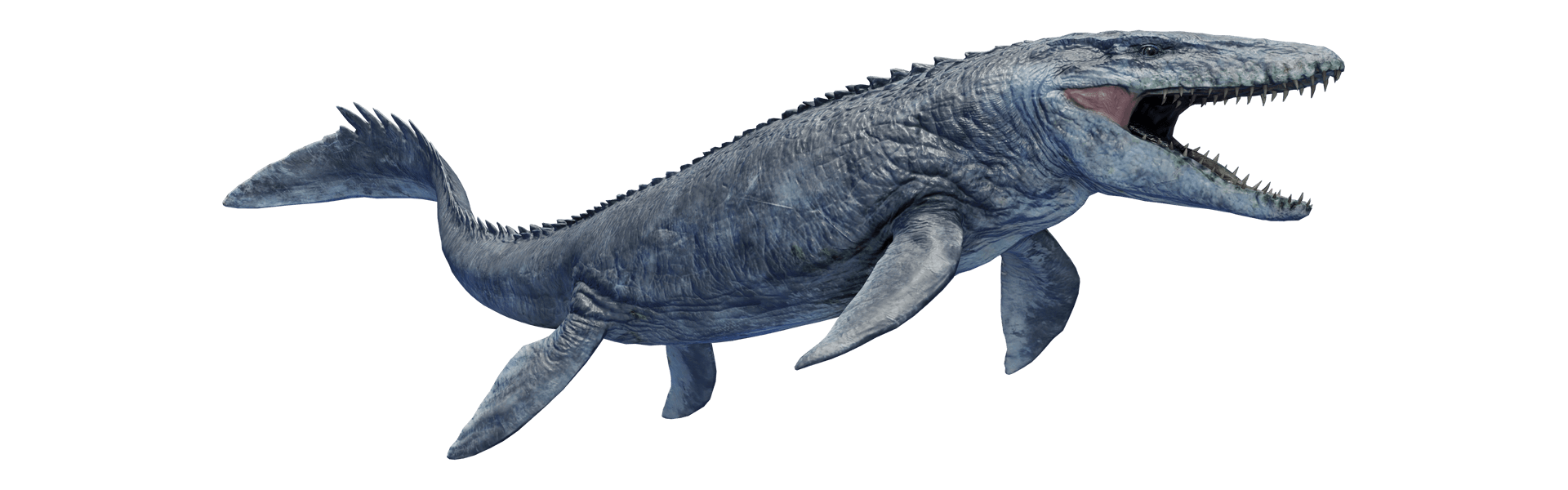 Mosasaurus
