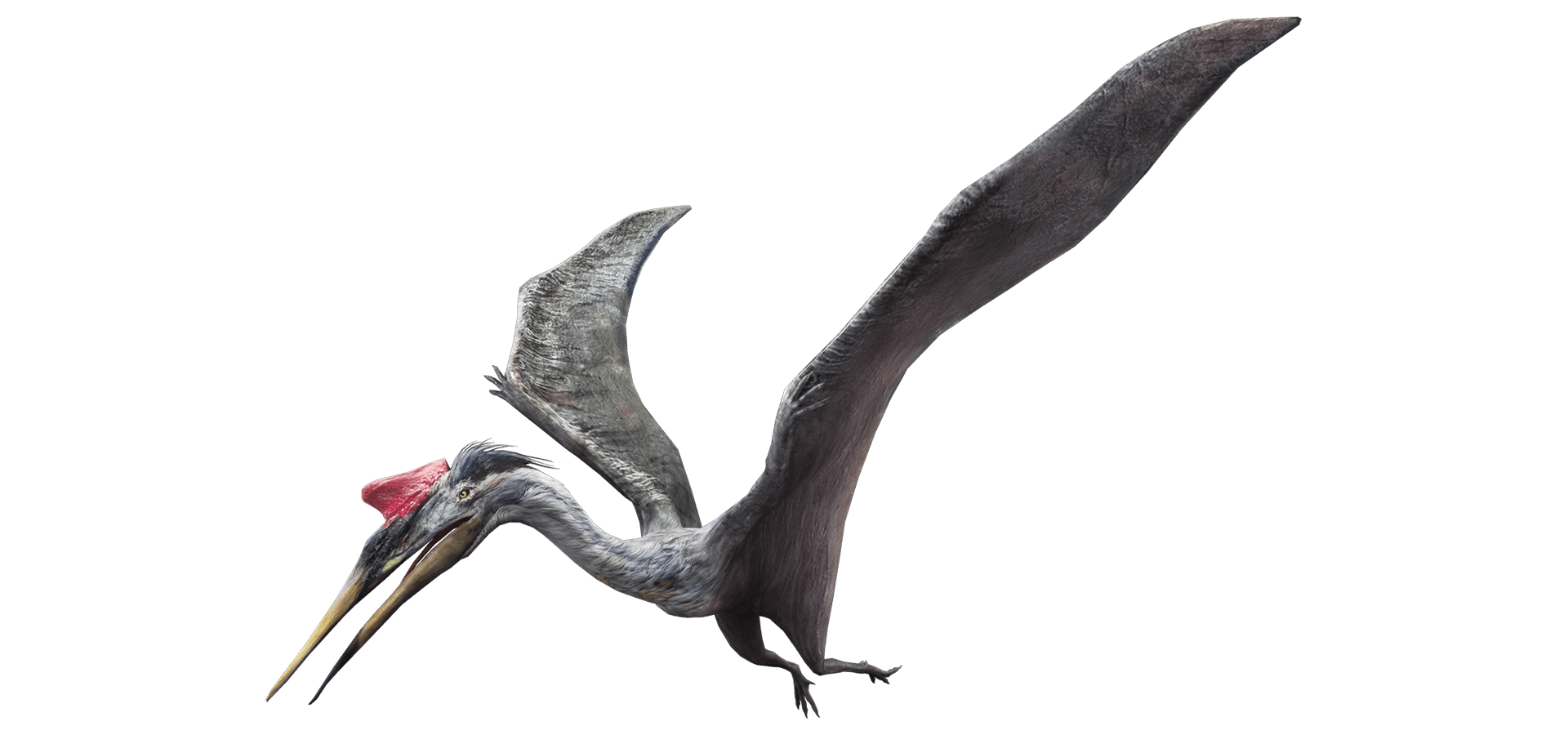 Quetzalcoatlus