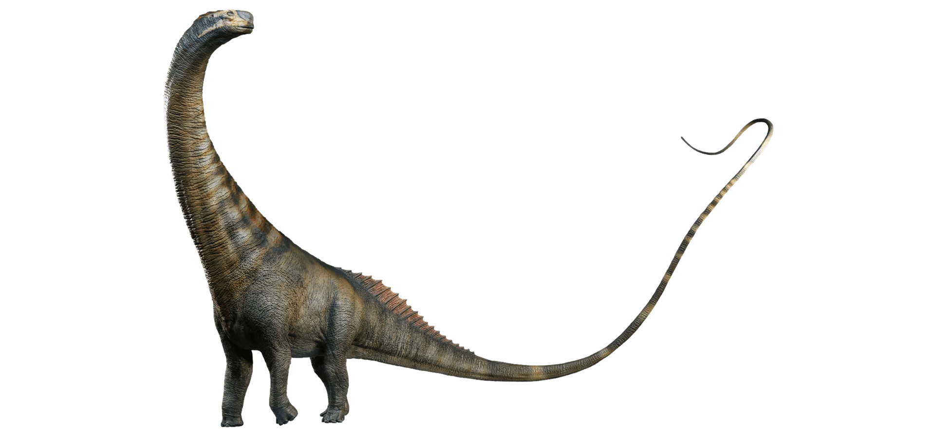 Titanosaurus