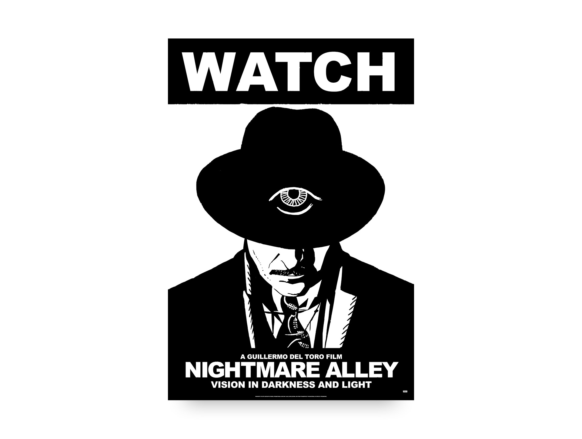 NIGHTMARE ALLEY: Vision in Darkness and Light