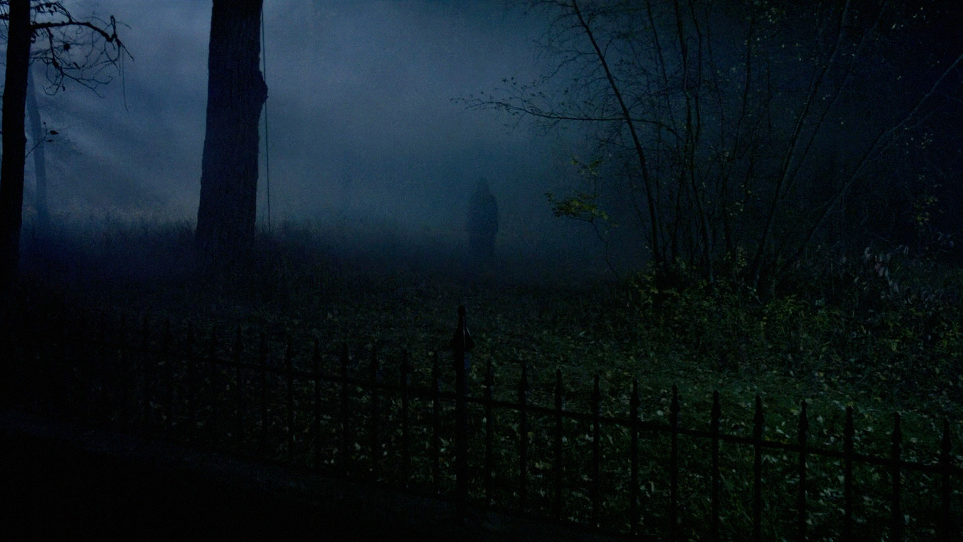 NIGHT of the REAPER