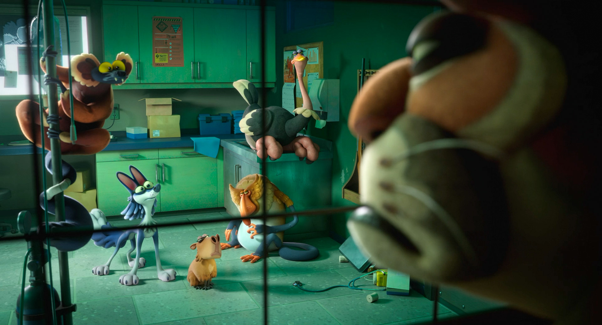 NIGHT of the ZOOPOCALYPSE