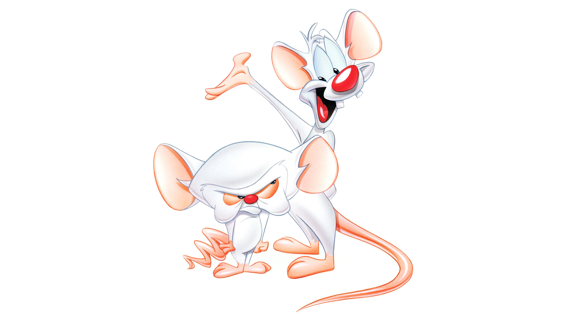 Pinky and THE BRAIN