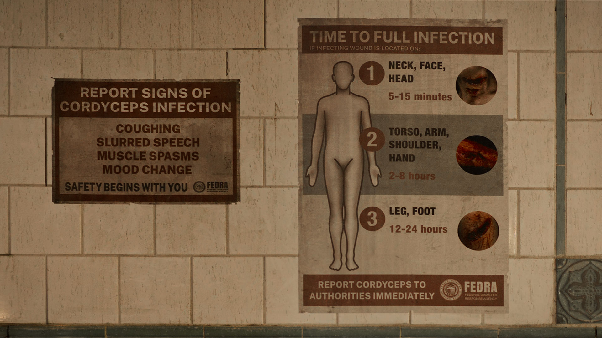 THE LAST OF US