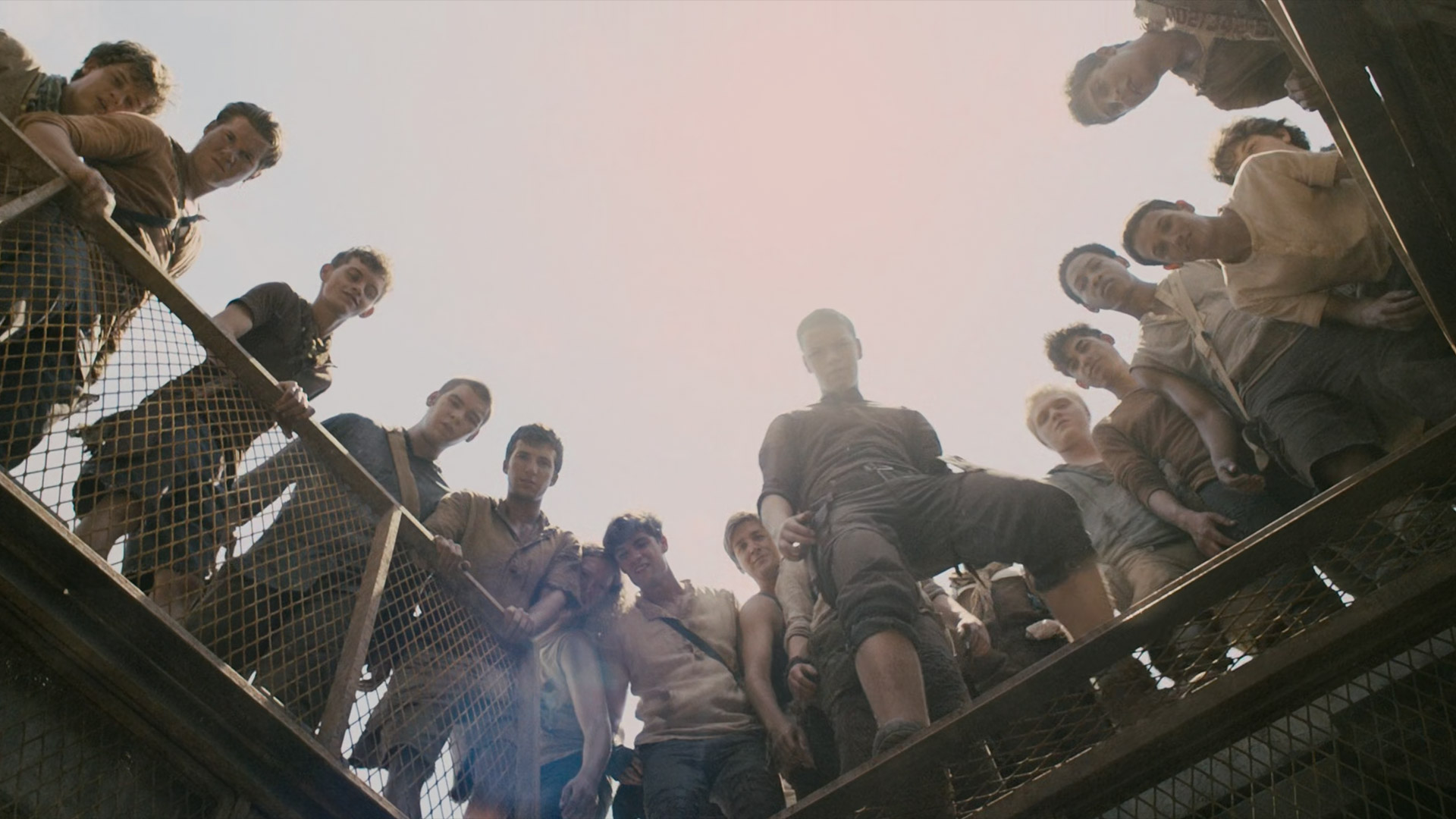 The MAZE RUNNER