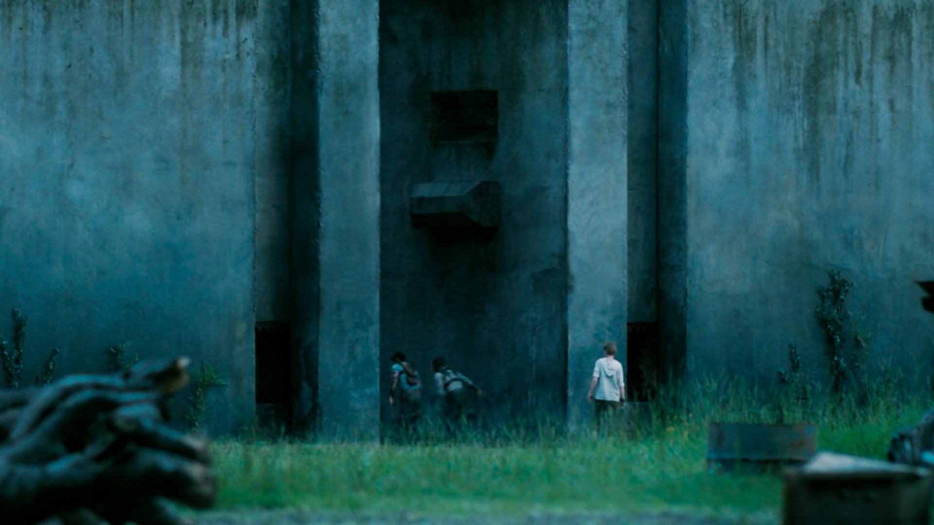 The MAZE RUNNER