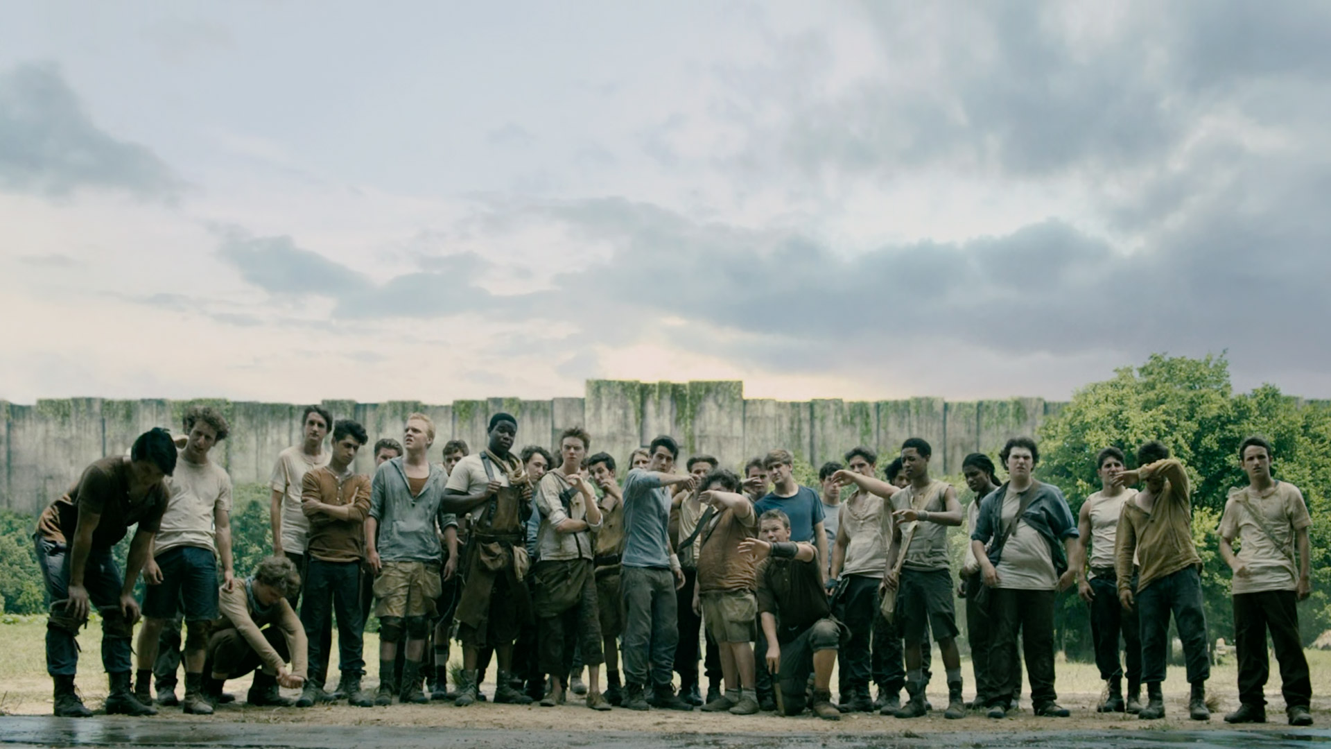 The MAZE RUNNER