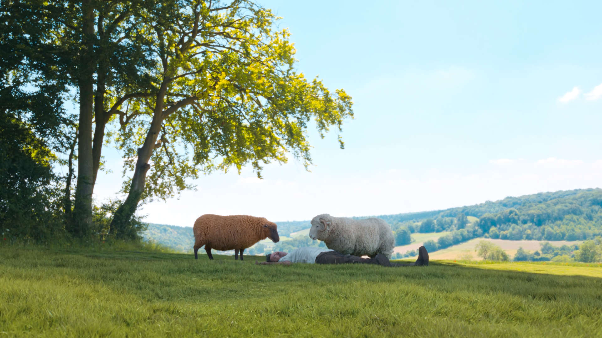 The SHEEP DETECTIVES