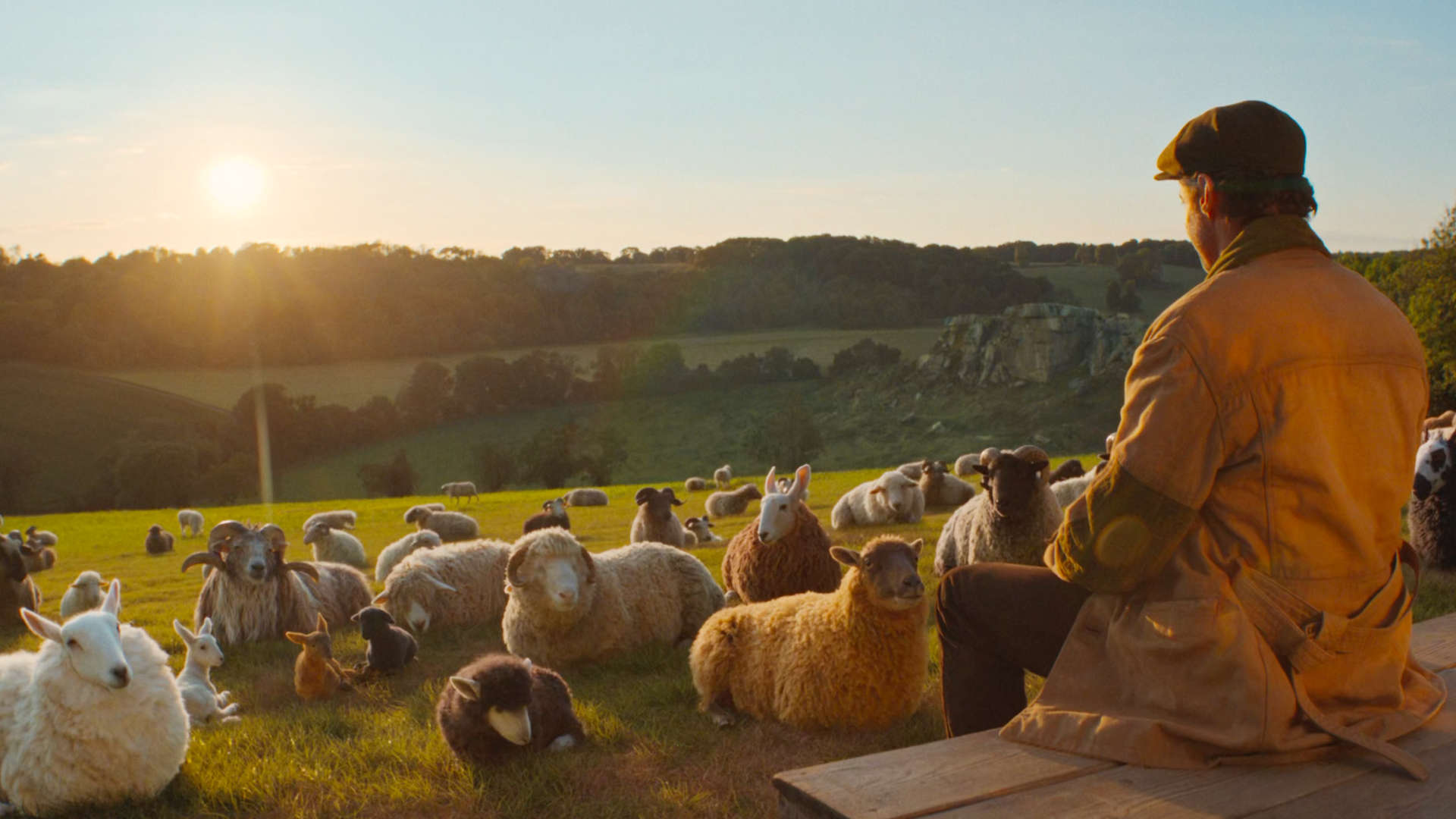 The SHEEP DETECTIVES