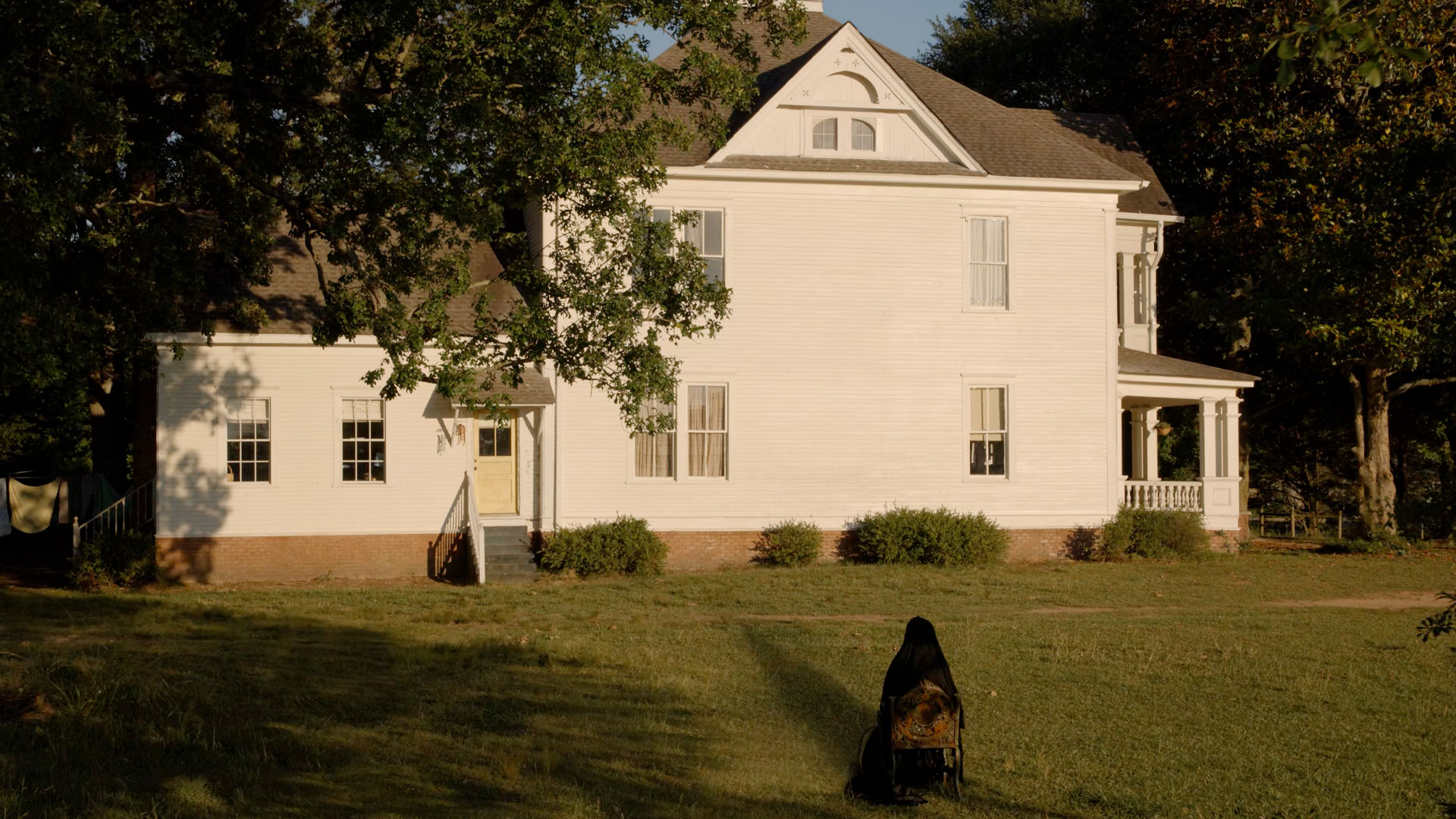 The WOMAN in the YARD