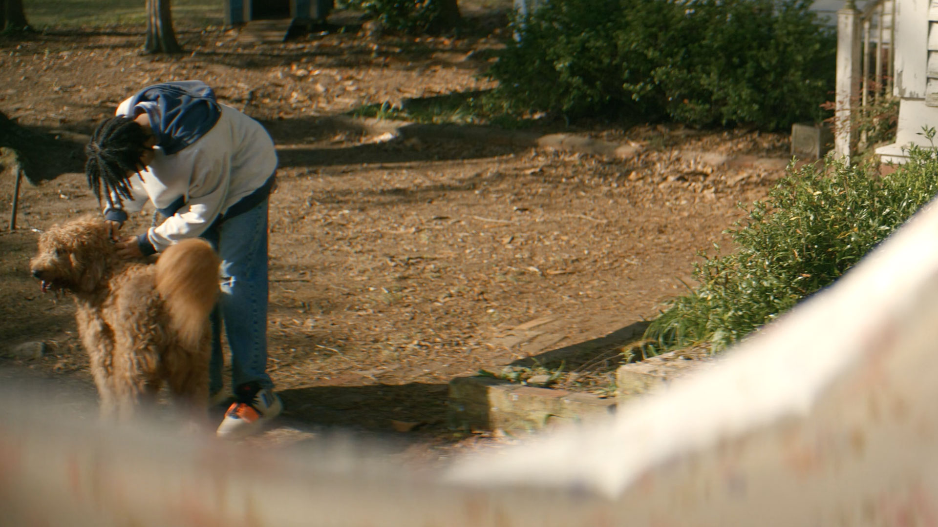 The WOMAN in the YARD