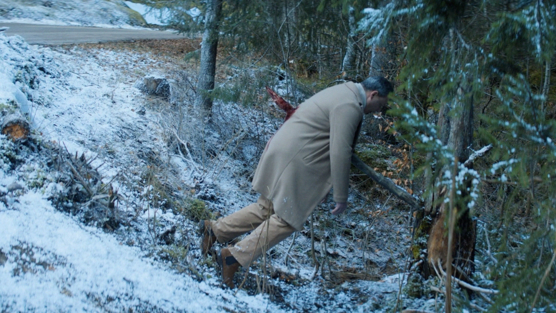 Un OURS dans le JURA