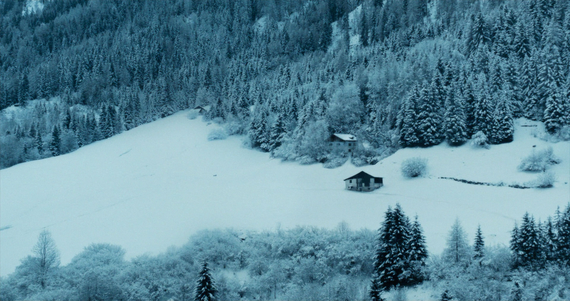 VERMIGLIO
